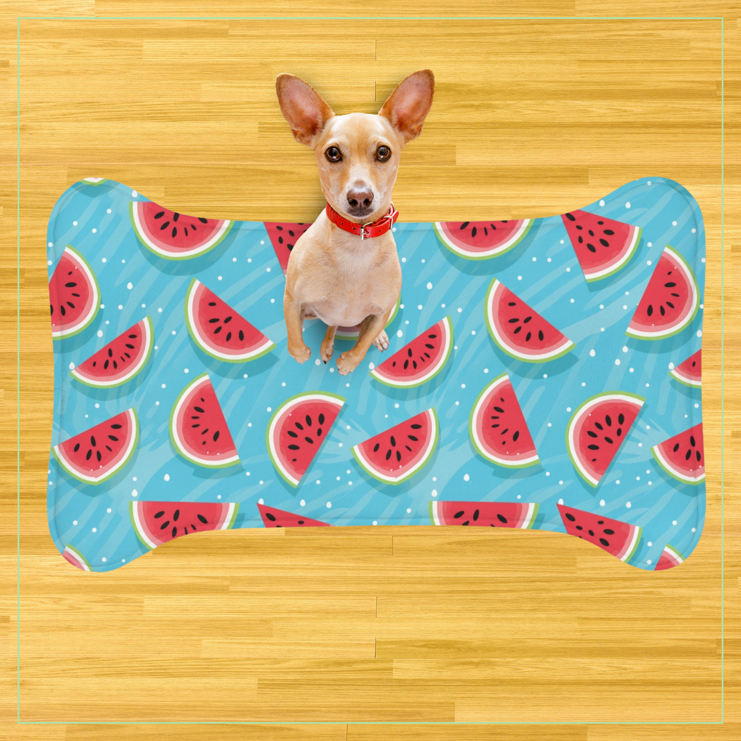 Watermelon Pet Food Mat