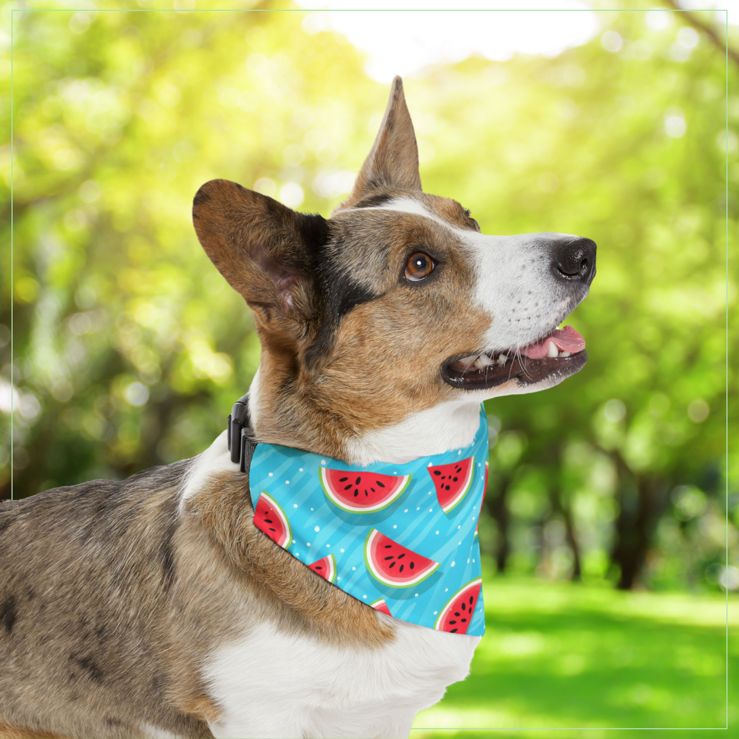 Watermelon Pet Bandana Collar