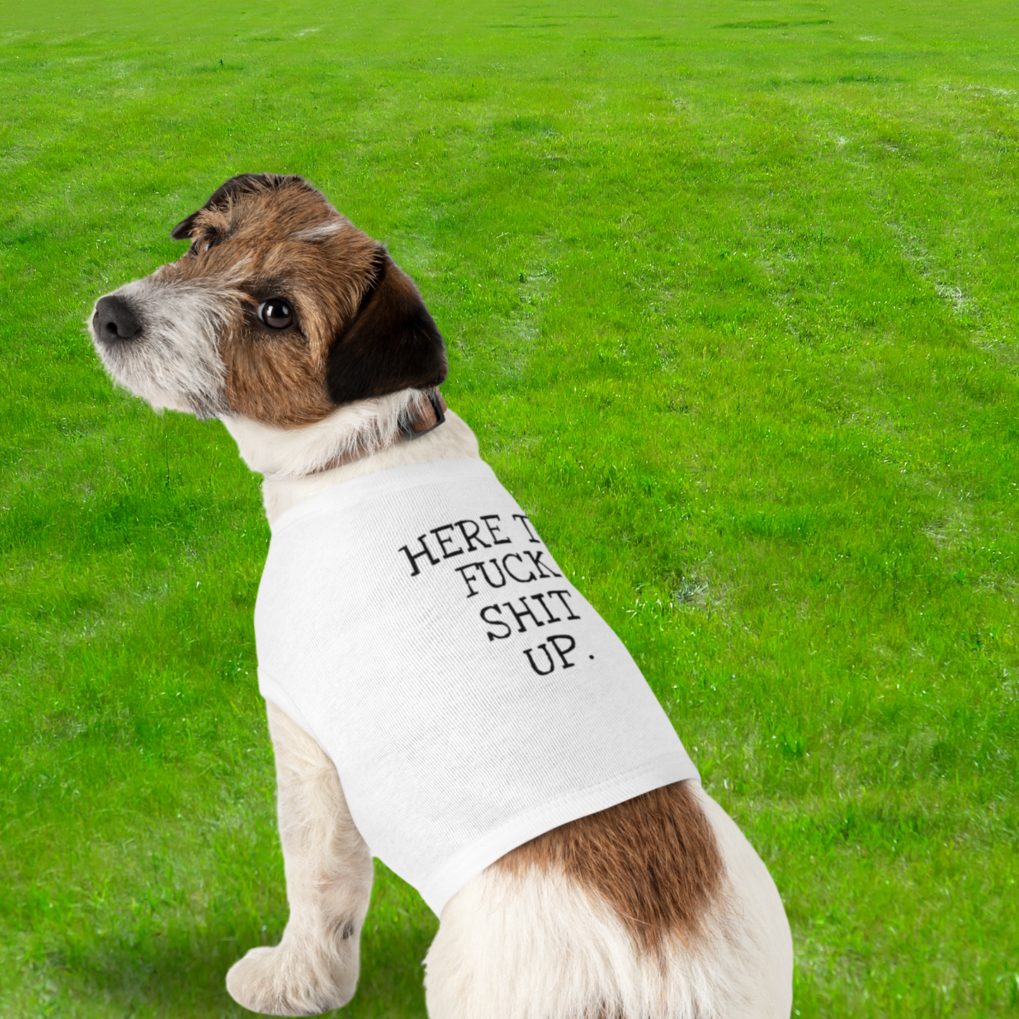 Here to F*ck Shit Up - Pet Tank Top