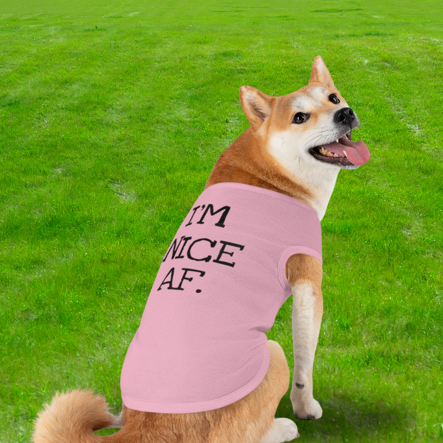 Here to F*ck Shit Up - Pet Tank Top
