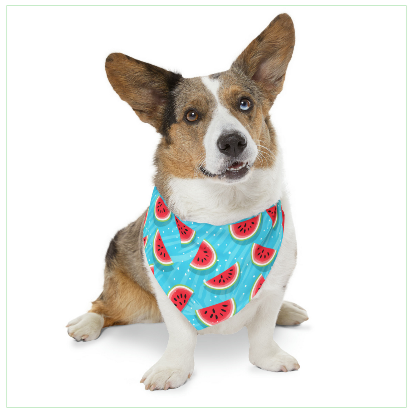 Watermelon Pet Bandana Collar
