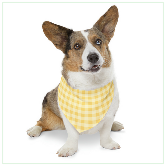 Yellow Checkered Pet Bandana Collar
