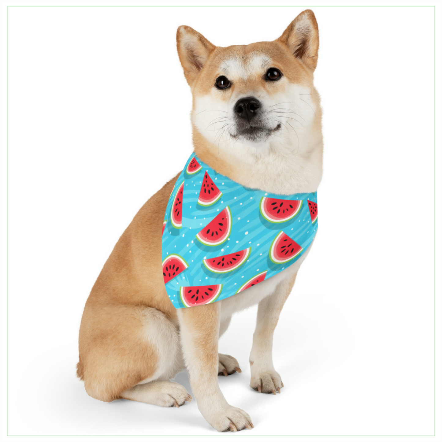 Watermelon Pet Bandana Collar