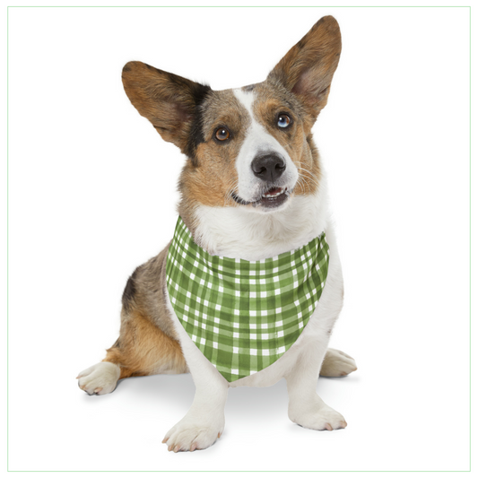 Green Checkered Pet Bandana Collar